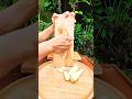 Video ASMR of Grating Young Corn #asmrsounds #asmr #odlysatisfying #satisfying