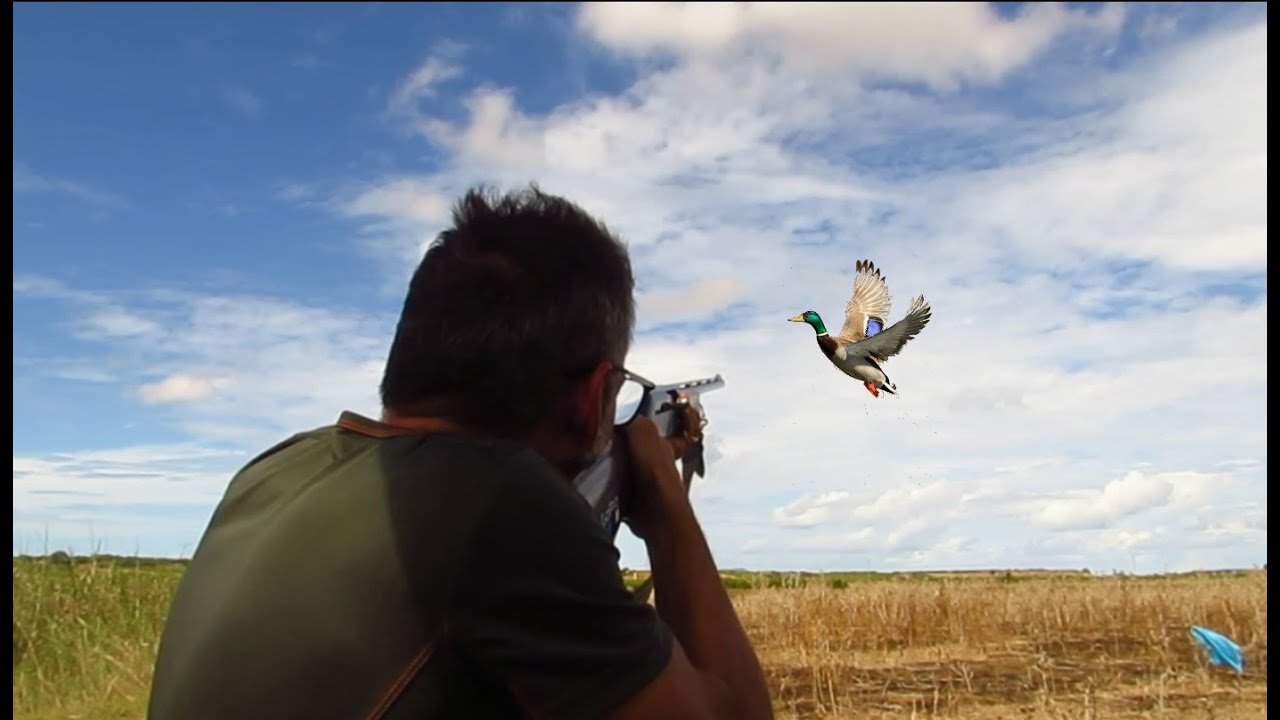 🇮🇹CACCIA:PERSEVERARE IN CALIBRO 28-DUCK HUNTING-
