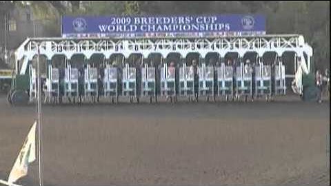 the betting exchange website