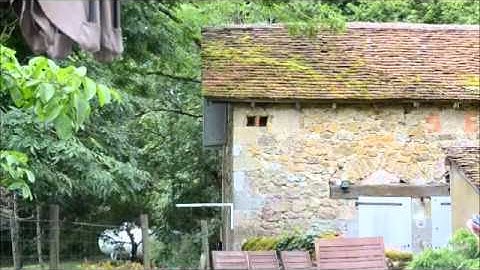 levende schietschijf