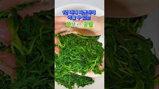 쑥보관법, 1년내내 변색없이 신선하게 내년봄까지 두고 먹는 꿀팁! #쑥보관법 #쑥보관방법 #쑥보관하는법#쑥보관하는방법#쑥보관