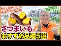 5月植えにおすすめ！大人気さつまいもの品種紹介！安納芋・ベニアズマ・ベニハルカ・シルクスイート・パープルスイートなど登場！誰でも簡単な保存方法もを解説！【家庭菜園】【栽培】