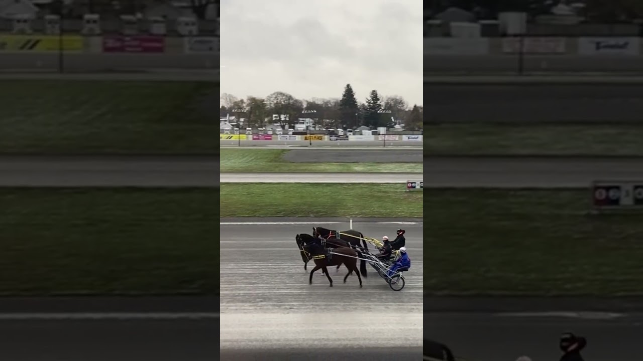 Horse harness racing Batavia Downs NY November 2022
