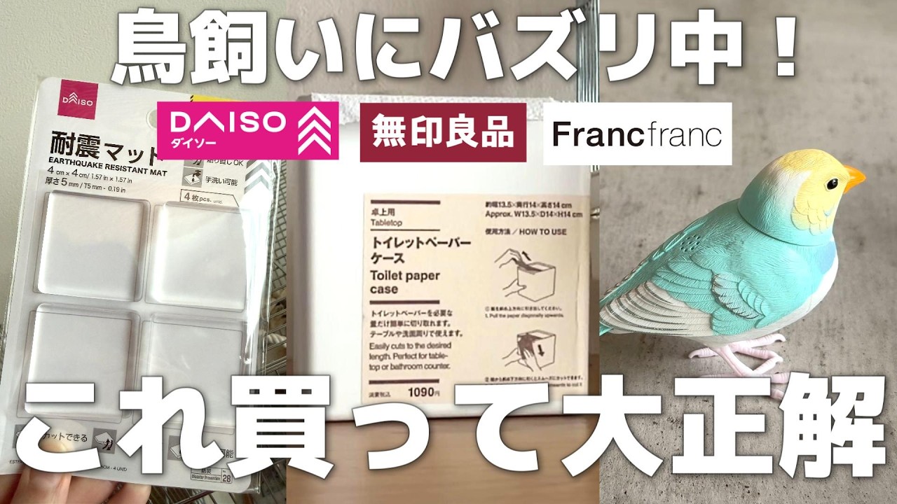 鳥飼い必見‼本気でおすすめしたい商品3選！売り切れる前に急げ