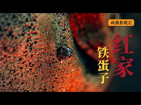 老九門12：佛爺被困地底迷宮，怎料二爺使出獨門絕技，巧破陣法！