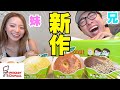 妹が珍しく夢の話し出して兄はそれを全力で応援したい兄妹愛チャンネル‼︎笑