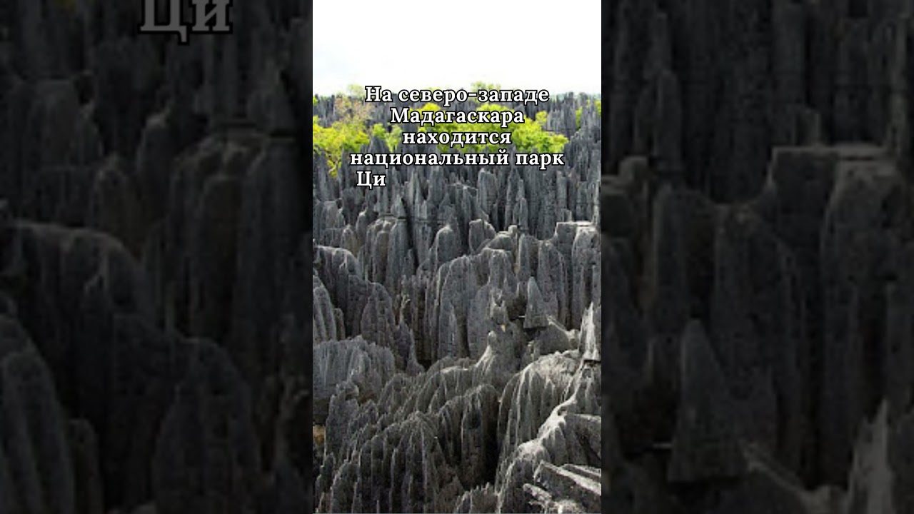 Цинги де Бемараха - лес из камня