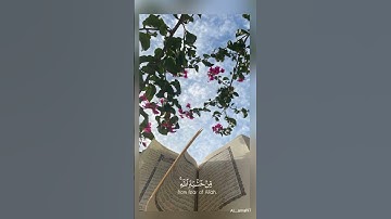 لو أنزلنا هذا القرآن على جبلٍ لرأيته خاشعاً..#قران_كريم #سورة_الحشر #بدر_التركي #ستوريات #طمأنينة