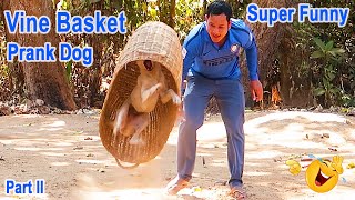 Super Big Vine Basket Prank Dogs Very Funny with Super Reaction Dog | Part II