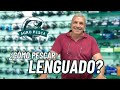 Cmo pescar lenguado  todo sobre la pesca de lenguado