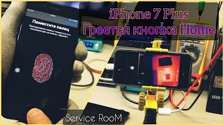 картинка: Греется кнопка home iPhone 7 Plus.