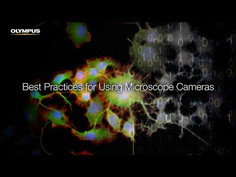 Best Practices for Using Microscope Cameras