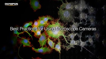 Best Practices for Using Microscope Cameras