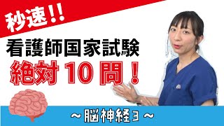 【看護師国家試験 絶対10問！】脳神経【特別フル公開！】