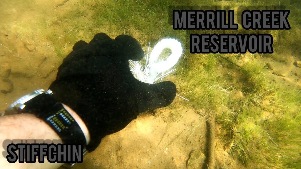 Merrill Creek Reservoir - Snorkeling - STIFFCHIN