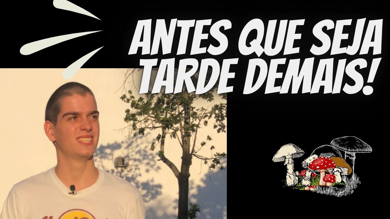 Vê este video se alguma vez quiseste fazer parte da CURRENCY LAB!