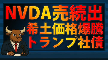 NVDA売り続出で揺れるAI株｜レアアース価格爆騰とトランプ大統領の社債買い【2025/11/17】