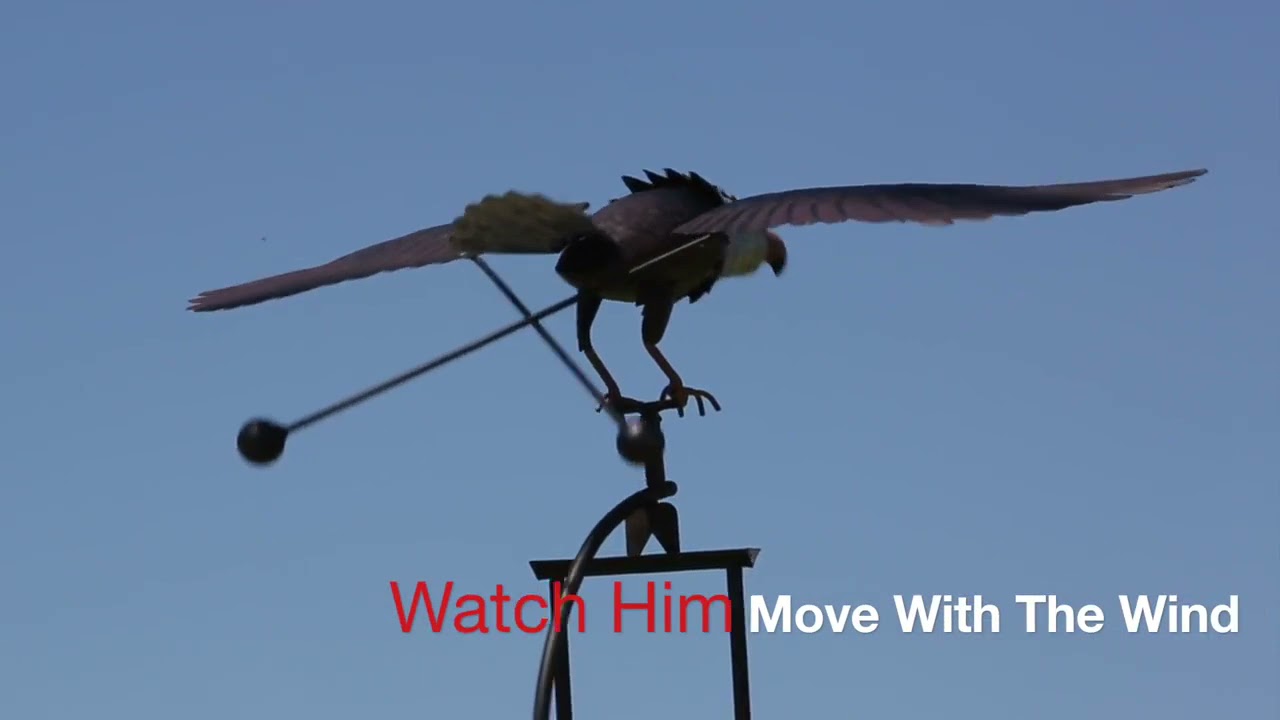 Flying Eagle Garden Stake VideoIndirelim com YouTube