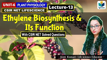 ETHYLENE BIOSYNTHESIS  AND FUNCTIONS | PHYTOHORMONES(PART-13)|CSIR NET| PLANT BIOLOGY