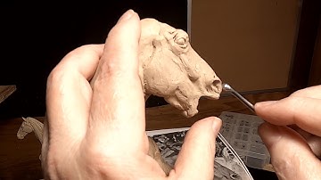 BATTLING FOR DOMINANCE   Working on the Left Side of the Neck and Horse