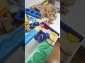 マーブルランレース Trix Track and HABA mixed course #マーブルラン #marblerun #marblesrace #marble #ビー玉転がし