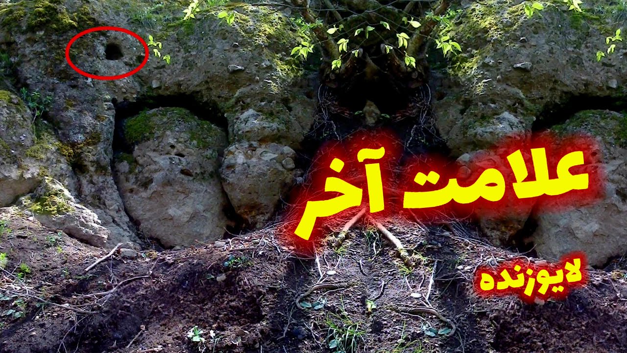 علامت آخر گنج اینجاست