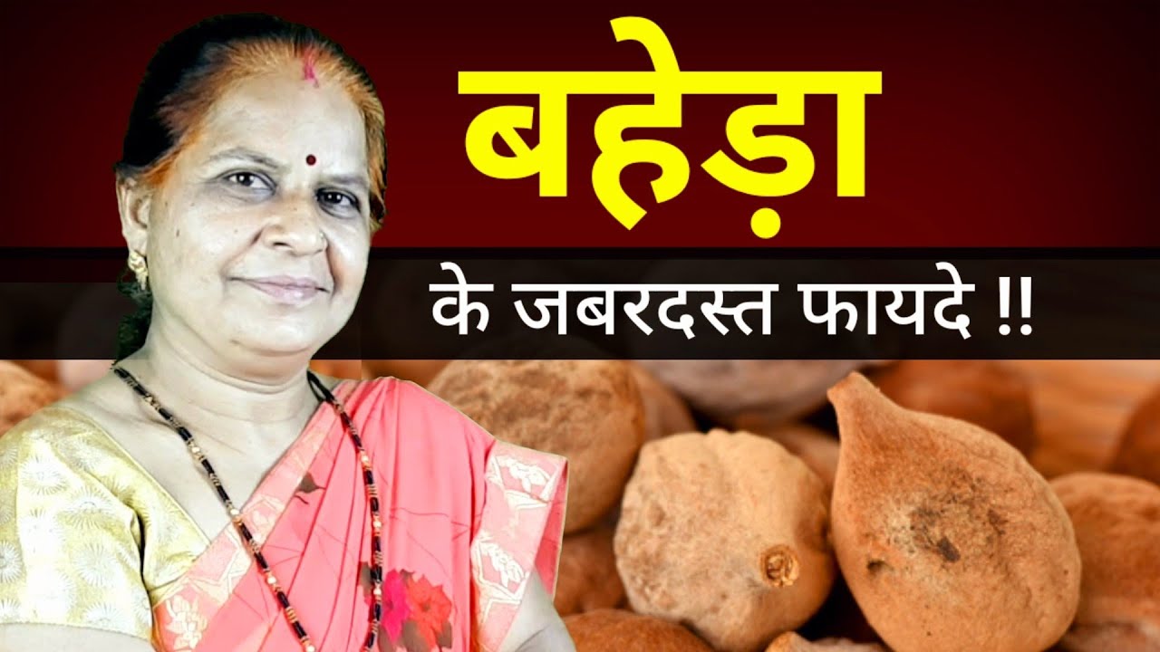 Baheda ke fayde || Benefits of bahera ||terminalia belerica || Bahera ke fayde in hindi || Baheda |