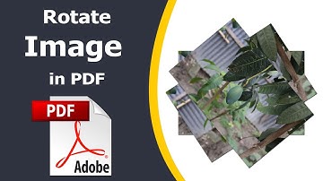How to Rotate Image in PDF Document using adobe acrobat pro dc