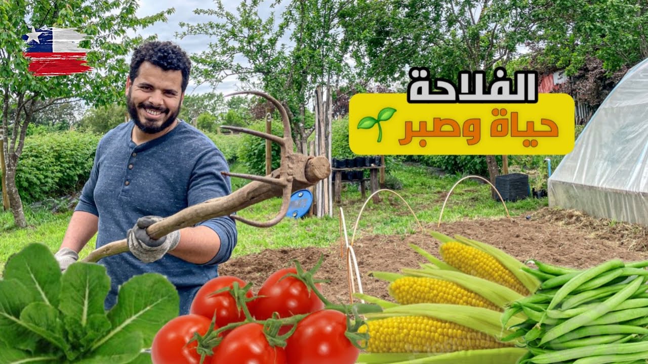   من بعد مجهود كبير|  الأرض ولات واجدة للموسم الفلاحي الجديد 🌾💪🇨🇱