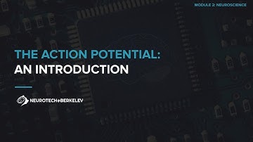 Module 2, Section 2, Lesson 5: An Introduction to Action Potentials || UC Berkeley CS 198 96
