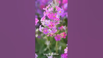 #قرآن#كريم سورة الرعدالآية الثامنة والتاسعة تلاوة خاشعة