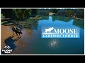 Moose Habitat - Planet Zoo North America Pack - Lakeside Lodges | Preview |