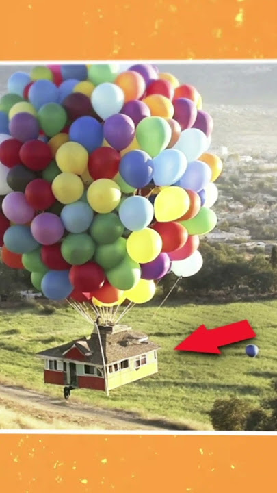 You've Never Seen Anything Like This!