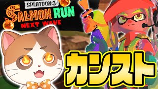フェス中にカンスト目指して本気で働く猫 Part3【サーモンラン】