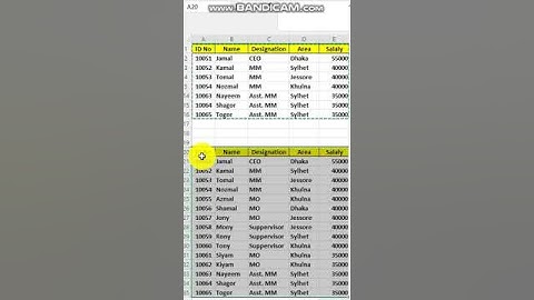 How to Copy Only Visible Data in Excel | MS Excel-05