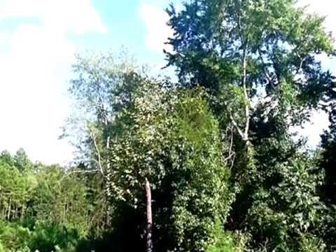 424 Shelby Ann Ln, Rock Hill, SC home video tour