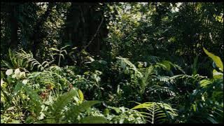 Apocalypto  Full Movie -2006.,/ All Time Best Hollywood Movie/ 720p