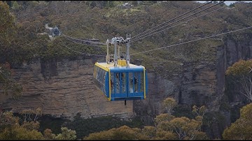 Scenic World and Blue Mountains World Heritage Institute : Ecological Monitoring Program Partnership