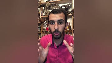 روائع وفوائد من سورة يوسف.. أحسن القصص