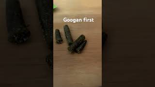 Yum vs. Googan #fishing #shorts #Yum #googan #googanbaits #bass #worms #outdoors  #freshwater