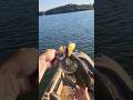 Lake Lanier Largemouth Wake Bait Fishing