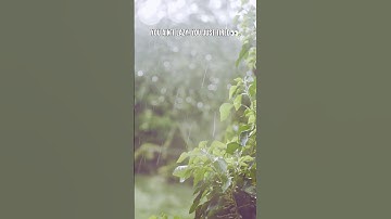 You’re Not Lazy — You’re Just Tired 🖤 #RealOnesOnly