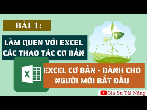 Excel cơ bản