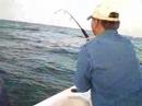 Blue Fishing Atlantic Ocean With Roger Muller & Jo...