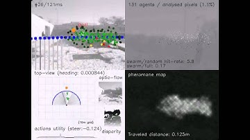 Swarm Cognition for Multiple Covert Attention Modulate by Action Selection on Off-Road Robots, Run 5