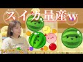 【解説?】毎度スイカを作り上げる初心者攻略がヤバすぎた😂