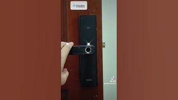 Khóa cửa thông minh Moes X1 TUYA
