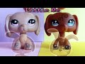 Lps little me music description