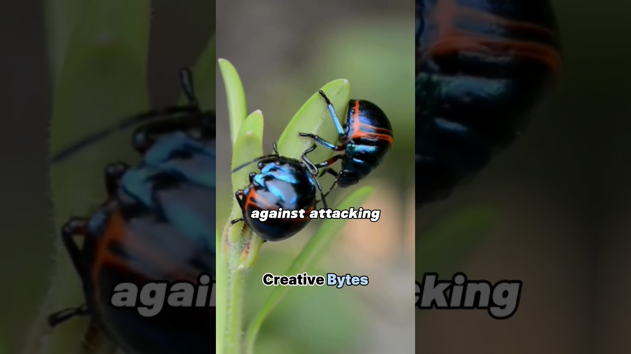 10 Amazing Facts About Trees 