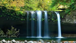 RELAKSASI MUSIK DAN SUARA ALAM MEMBUAT TENANG FIKIRAN